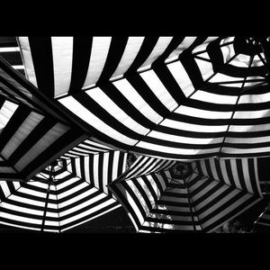 Meet your Posher, Naomi